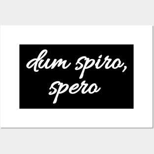 Dum spiro, spero - Latin quote shirt gift idea Posters and Art